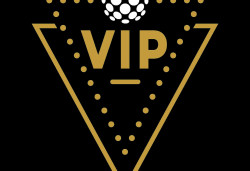 VIP Properties (Very Intelligent Professionals Properties LLC)