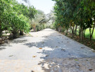 ارض للبيع في ليوا - ابوظبي