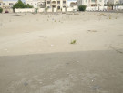 ارض للبيع في مدينه محمد بن زايد - ابوظبي